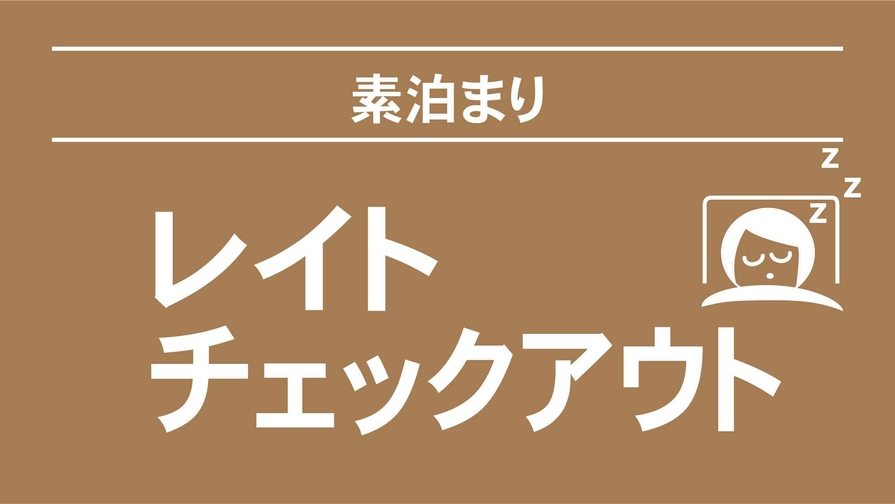 STOP 地球温暖化 CO2削減ノーマイカープラン12時レイトアウト【素泊まり】